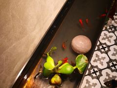 -日上三甘(三里屯店)