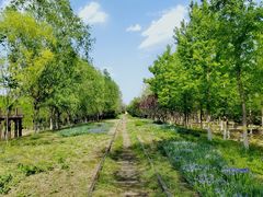 -永定河休闲森林公园