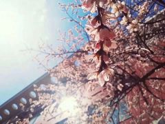 -东北师范大学(净月大街校区)