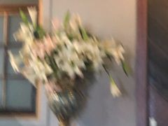 -欧典咖啡屋(台东店)