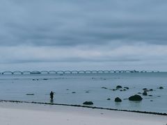-贝壳沙滩