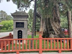 -黄帝陵