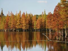 -白鹭湾湿地公园