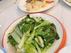 -老字号大盘鸡·丸子汤·抓饭
