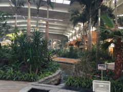 -南宫五洲植物乐园