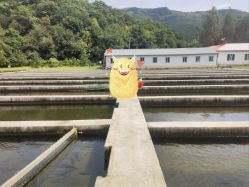 -青龙渔业旅游景区