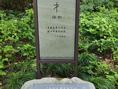 -吴山景区