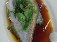 -有腥气私房菜·寻味顺德