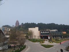 -铁山坪森林公园