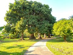 -中国科学院西双版纳热带植物园