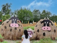 -中国天府农业博览园