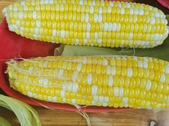 -光明刘冰乳鸽店(光明法政北路店)