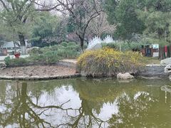 -宣武艺园