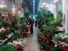 -双季花艺园艺市场(浦东店)