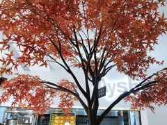 -艾薯夫妇Aysh(福田星河COCOPark店)