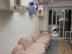 -青奢宠物·青奢猫舍