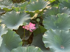 -前关湿地公园