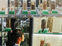 -广东中医药博物馆