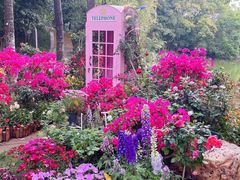 -人民公园(罗湖区)