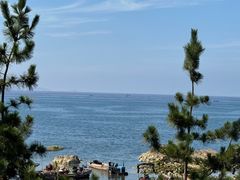 -养马岛旅游度假区