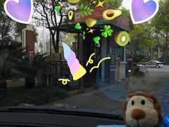 -高东镇樱花园
