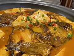 乾隆鱼头烧豆腐-乾隆美食·本帮菜(黄河路店)