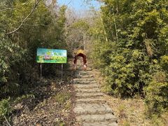 -金钉子远古世界景区