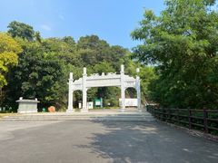 -羚羊峡古栈道森林公园