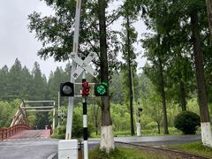 -黄海国家森林公园