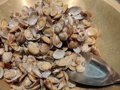 -浩运·海鲜青岛菜·海胆水饺(石老人店)