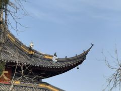 -西园寺素食(西园弄戒幢律寺店)