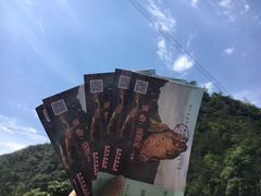 -楠溪江风景名胜区