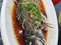 -波记美食店·现捞海鲜