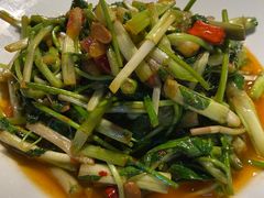 -滇铺子·云南特色菜·第九届野生菌美食节(东风东路c86店)