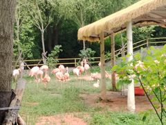 -哈尔滨北方森林动物园