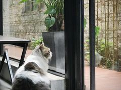 -五月木作·DIY木作文创体验店(北京路店)