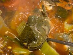 酸汤锅底-老凯里苗岭酸汤鱼酸汤牛肉(百里杜鹃路店)