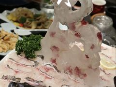 鲜活青石斑-龙门养心粥火锅(祥恒广场店)