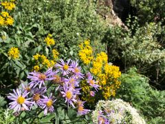 -白草畔自然风景区