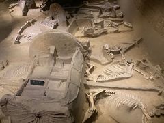 -洛阳周王城天子驾六博物馆