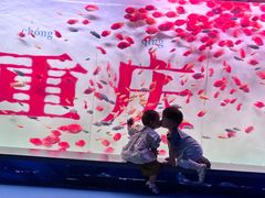 -重庆欢乐海底世界