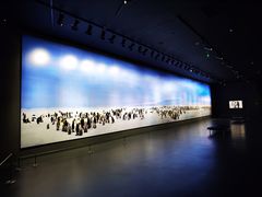 -罗红摄影艺术馆