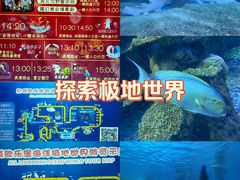 -泉城欧乐堡海洋极地世界