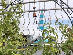 -Vanillacafe香草咖啡(银海大世界店)