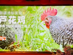 -俭寨大盘鸡·缸子肉·小公鸡·新疆菜(云通店)