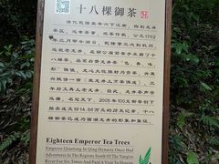 -十八棵（老龙井）御茶园(老龙井店)