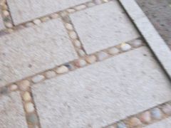 -大鹅岛绿色生态美食园