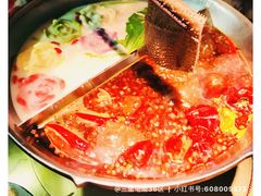 -湊湊火锅·茶憩(新中关购物中心店)