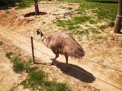 -石家庄市动物园