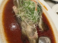 -喜来登由由大酒店九州膳坊中餐厅